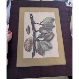Vintage Fruit Nut Lithograph Wood Grain Frame Farmhouse Cottagecore Matted